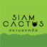 Siam Cactus